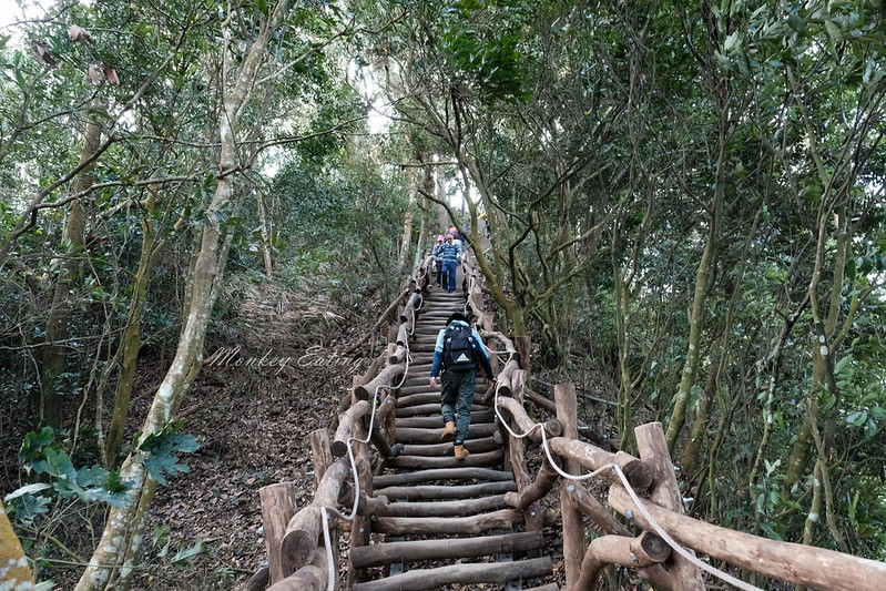 【大坑5號登山步道】台中高CP值仙境步道,挑戰山稜線縱走,登頭嵙山小百岳美景盡收眼底! @Nini and Blue 玩樂食記 DSCF8751