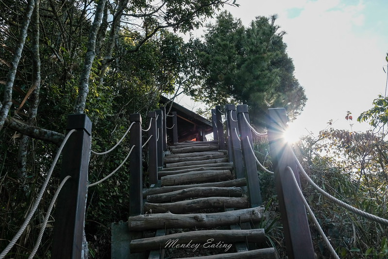 【大坑5號登山步道】台中高CP值仙境步道,挑戰山稜線縱走,登頭嵙山小百岳美景盡收眼底! @Nini and Blue 玩樂食記 DSCF8745