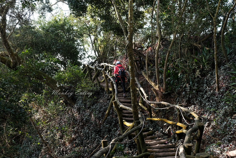 【大坑5號登山步道】台中高CP值仙境步道,挑戰山稜線縱走,登頭嵙山小百岳美景盡收眼底! @Nini and Blue 玩樂食記 DSCF8743