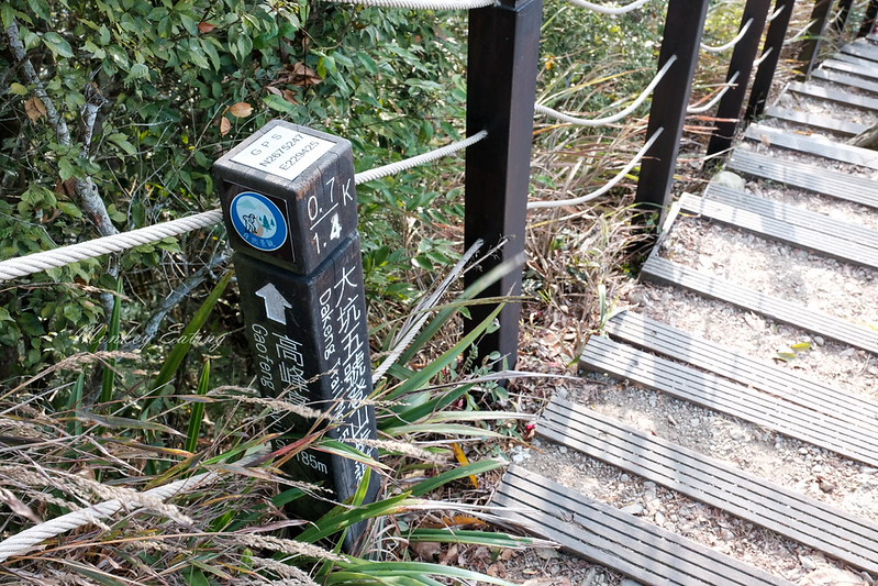 【大坑5號登山步道】台中高CP值仙境步道,挑戰山稜線縱走,登頭嵙山小百岳美景盡收眼底! @Nini and Blue 玩樂食記 DSCF8738
