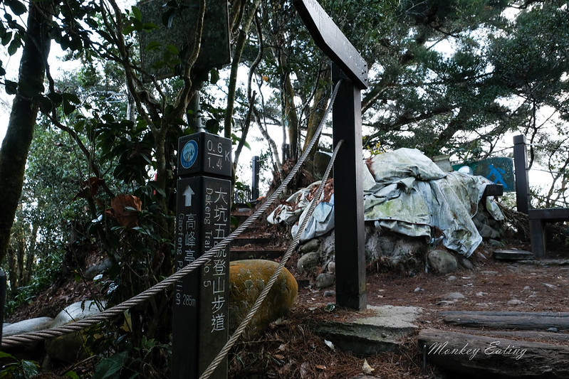 【大坑5號登山步道】台中高CP值仙境步道,挑戰山稜線縱走,登頭嵙山小百岳美景盡收眼底! @Nini and Blue 玩樂食記 DSCF8723