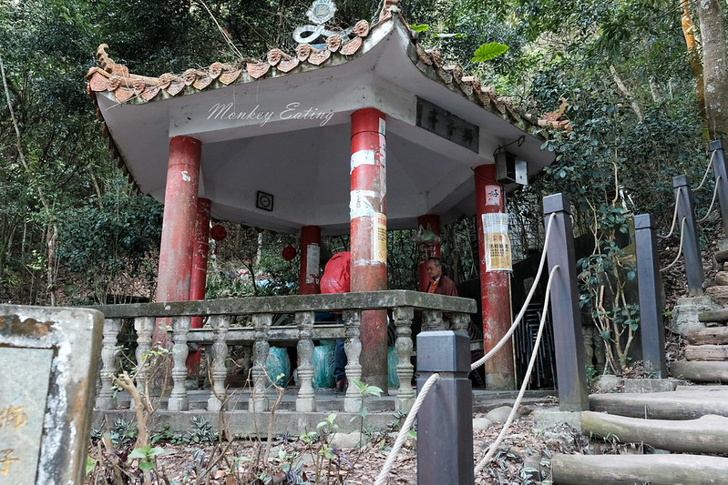 【大坑5號登山步道】台中高CP值仙境步道,挑戰山稜線縱走,登頭嵙山小百岳美景盡收眼底! @Nini and Blue 玩樂食記 DSCF8719