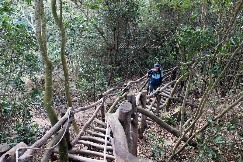 【大坑5號登山步道】台中高CP值仙境步道,挑戰山稜線縱走,登頭嵙山小百岳美景盡收眼底! @Nini and Blue 玩樂食記 DSCF8712