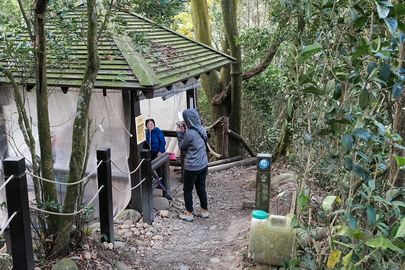【大坑5號登山步道】台中高CP值仙境步道,挑戰山稜線縱走,登頭嵙山小百岳美景盡收眼底! @Nini and Blue 玩樂食記 DSCF8711