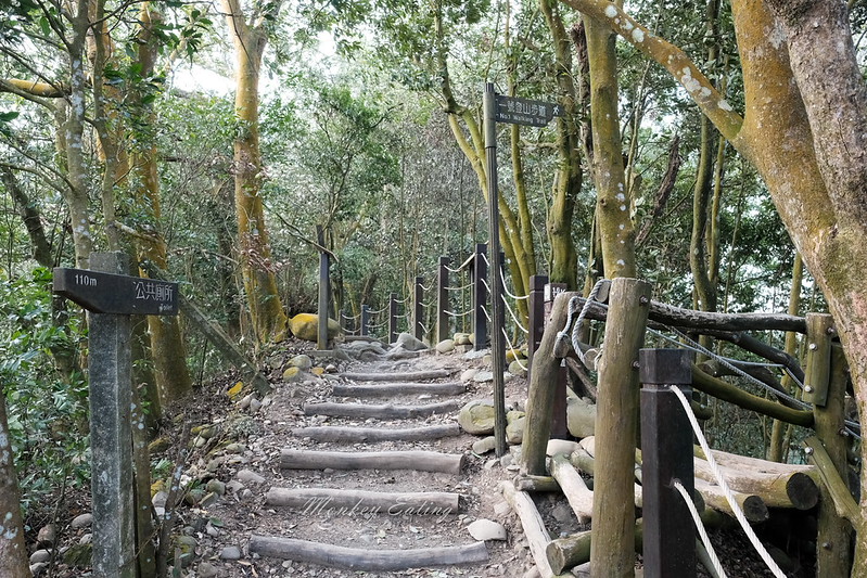 【大坑5號登山步道】台中高CP值仙境步道,挑戰山稜線縱走,登頭嵙山小百岳美景盡收眼底! @Nini and Blue 玩樂食記 DSCF8695