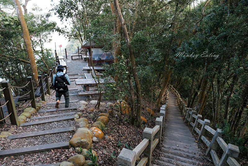 【大坑5號登山步道】台中高CP值仙境步道,挑戰山稜線縱走,登頭嵙山小百岳美景盡收眼底! @Nini and Blue 玩樂食記 DSCF8689