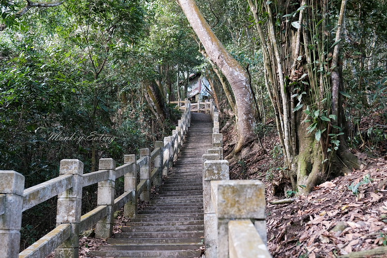 【大坑5號登山步道】台中高CP值仙境步道,挑戰山稜線縱走,登頭嵙山小百岳美景盡收眼底! @Nini and Blue 玩樂食記 DSCF8688