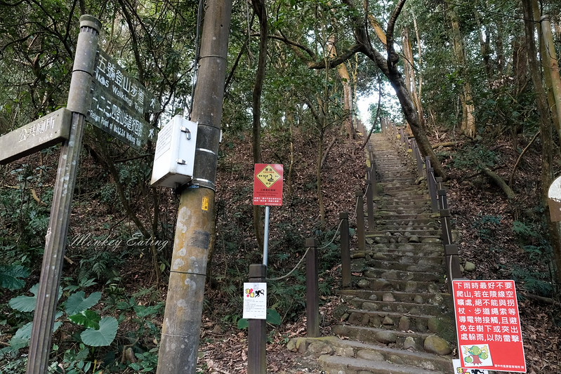 【大坑5號登山步道】台中高CP值仙境步道,挑戰山稜線縱走,登頭嵙山小百岳美景盡收眼底! @Nini and Blue 玩樂食記 DSCF8683
