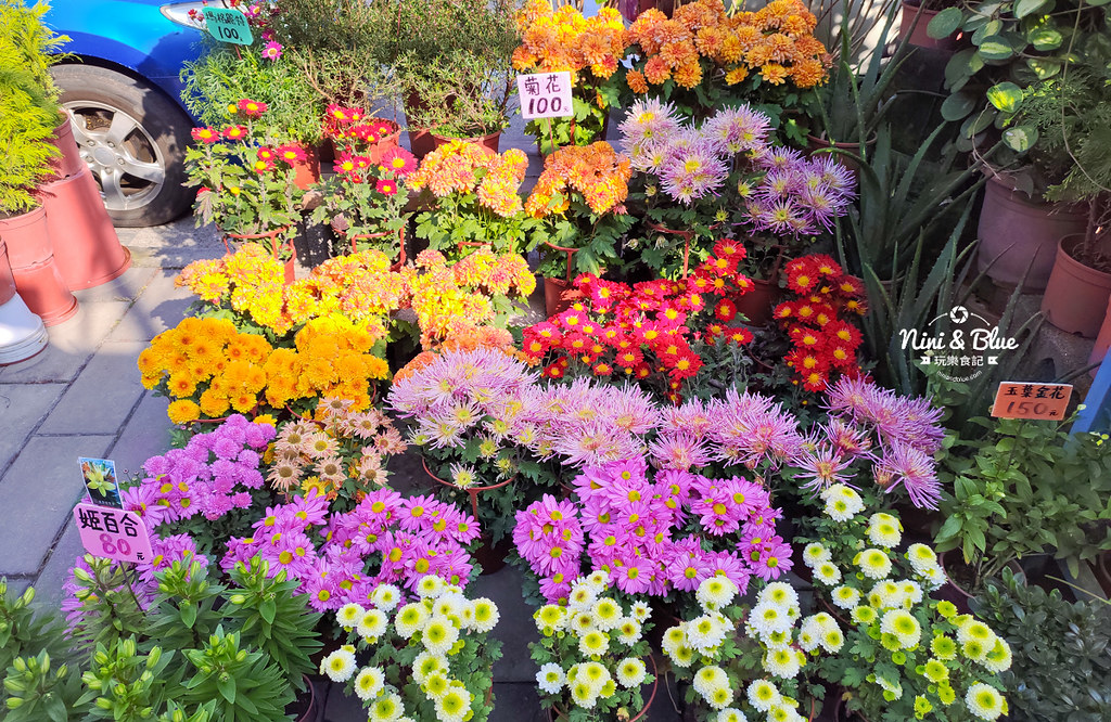 台中花市 永春花市06