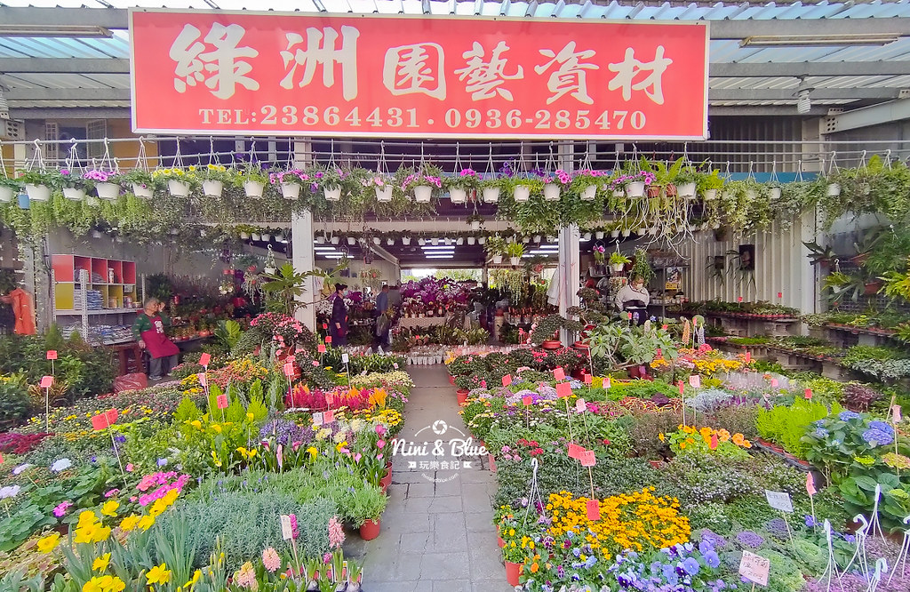 台中花市 永春花市22