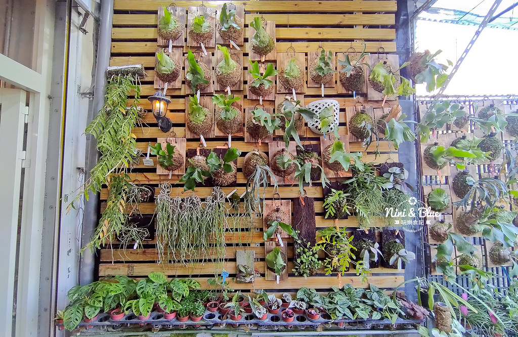 台中花市 永春花市15