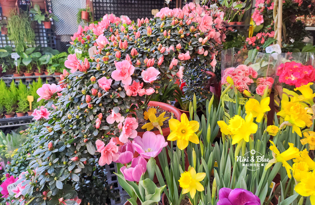 台中花市 永春花市02