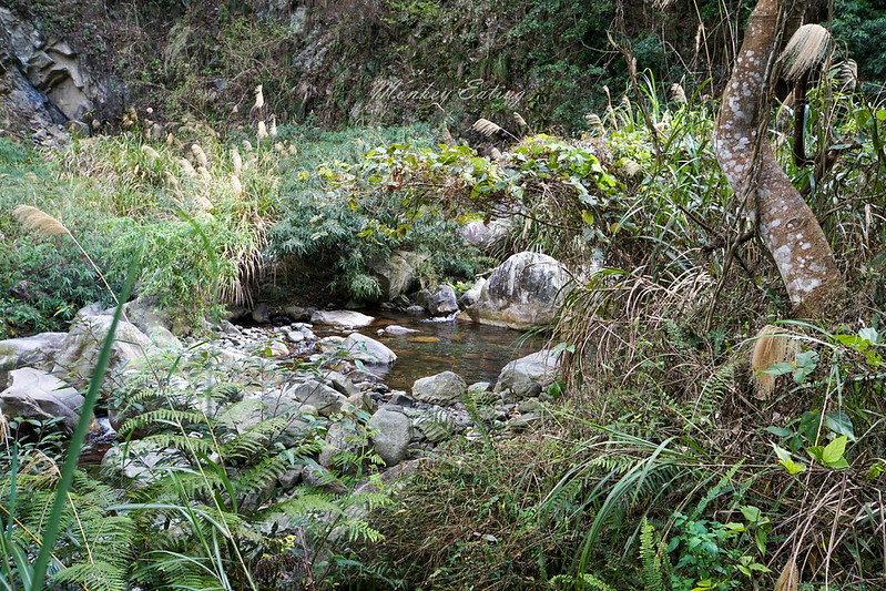 DSC04028