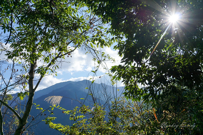 DSC04013