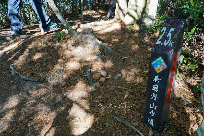 DSC03994