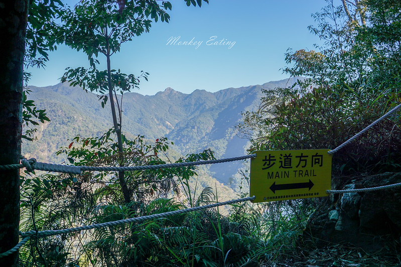 DSC04154