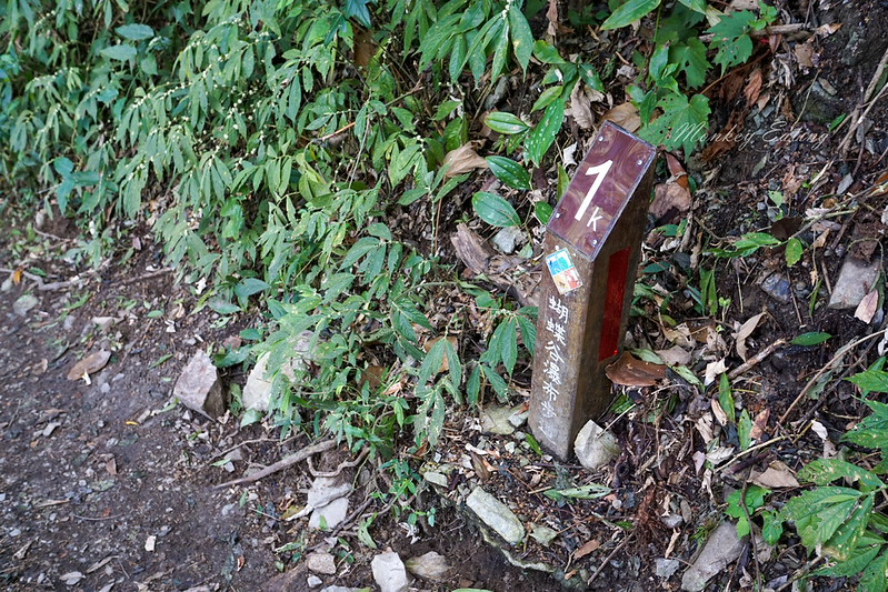 DSC04023