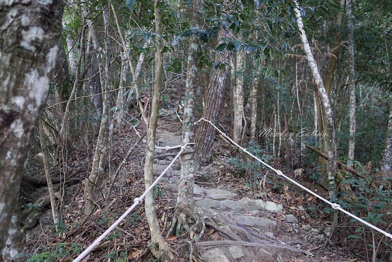 DSC03990