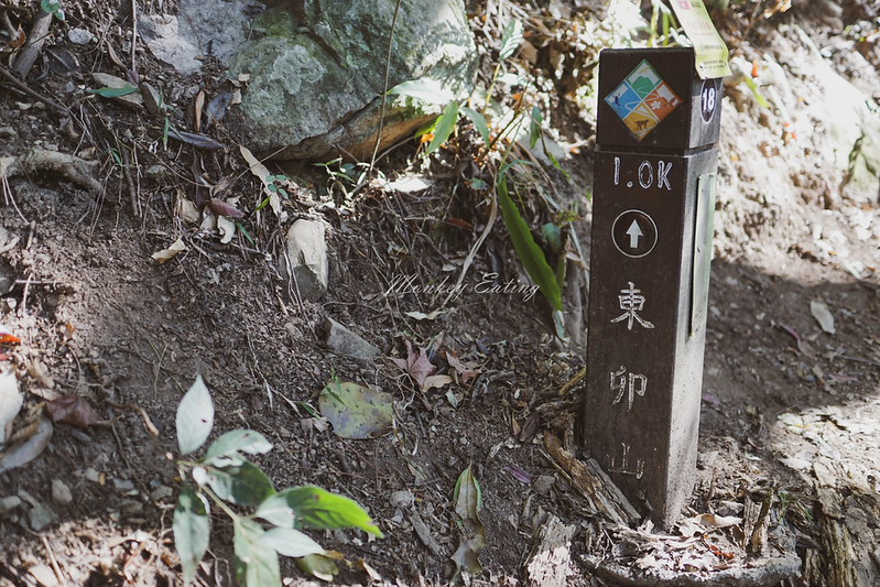 DSC04176