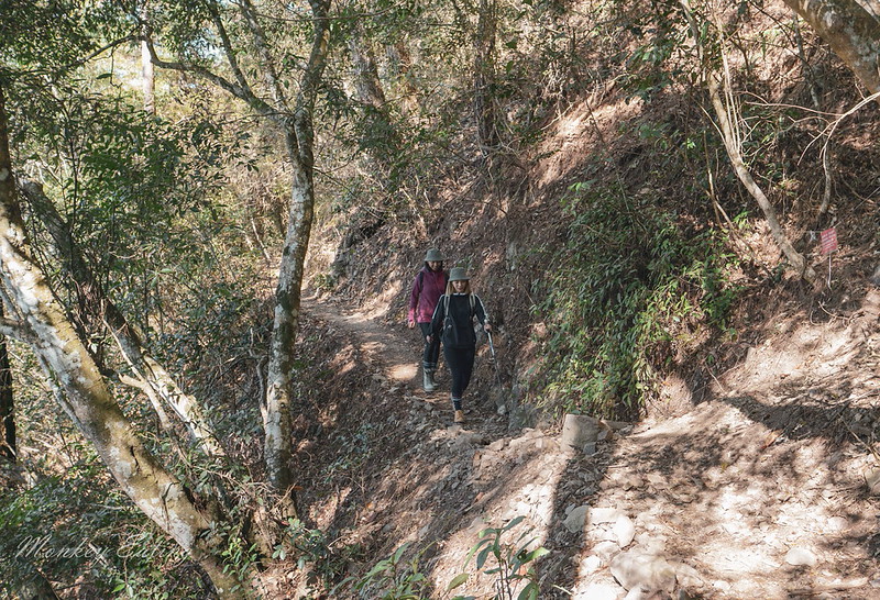 DSC04167