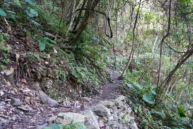 DSC04044