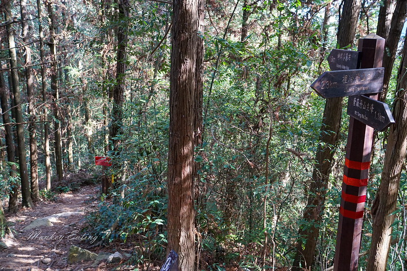 DSC04014