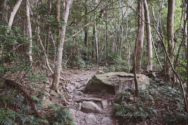DSC04122