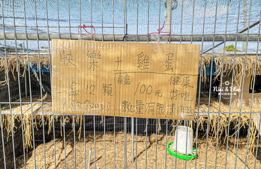 南投草屯採草莓 536無毒果園21