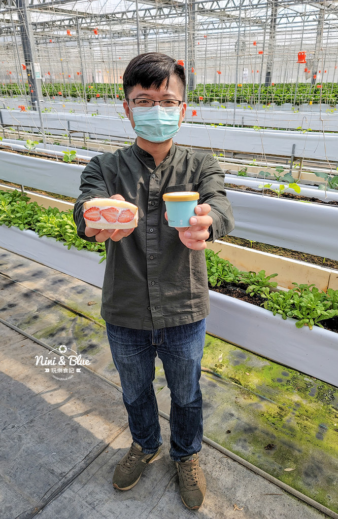 南投草屯採草莓 536無毒果園17