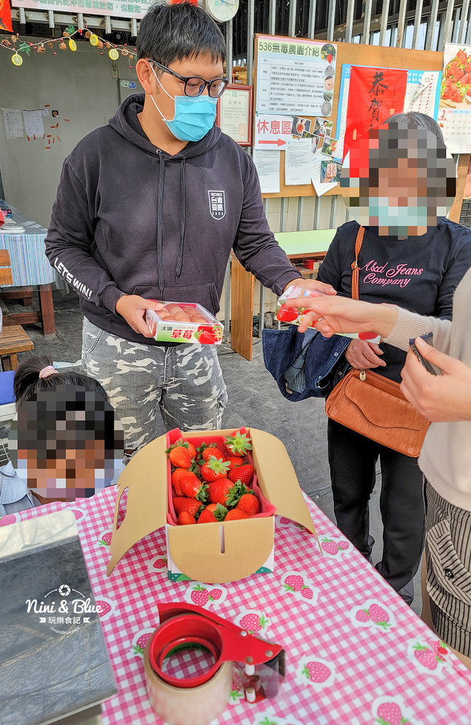南投草屯採草莓 536無毒果園15