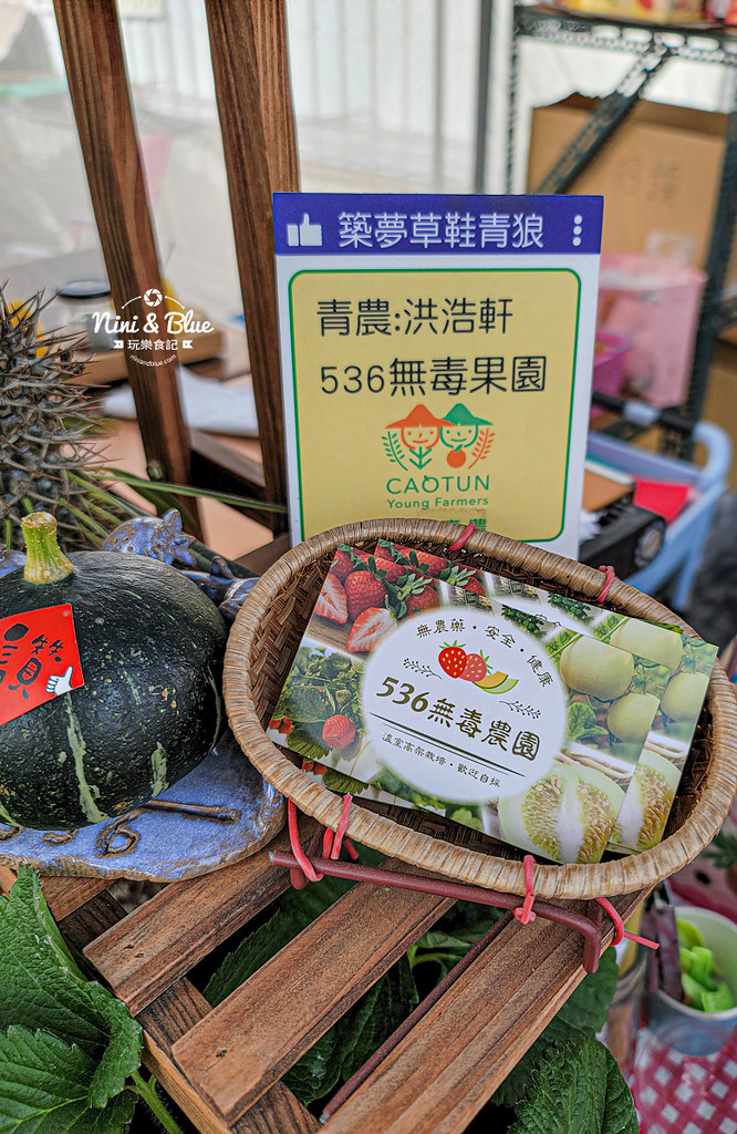 南投草屯採草莓 536無毒果園14