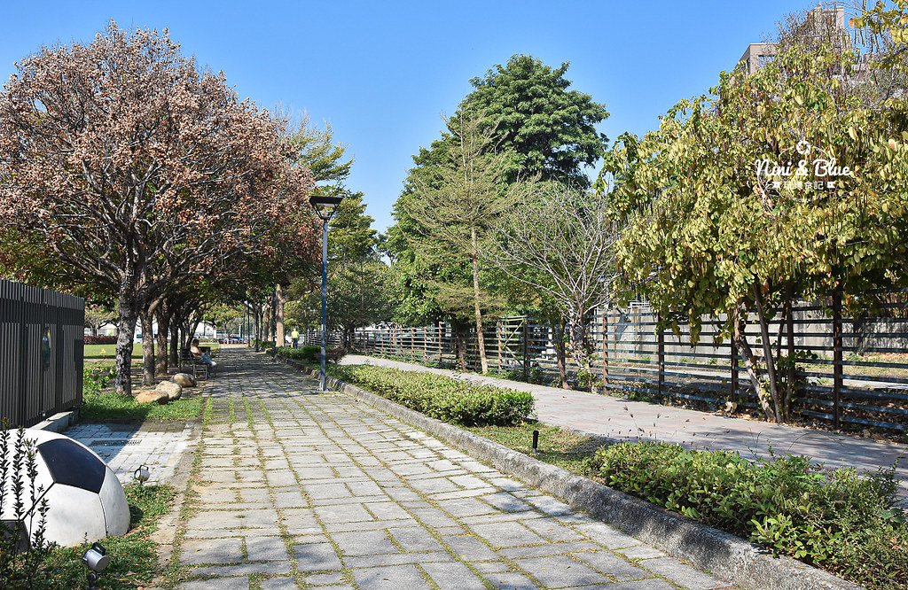 部興公園 台中太順路黃金風鈴木27