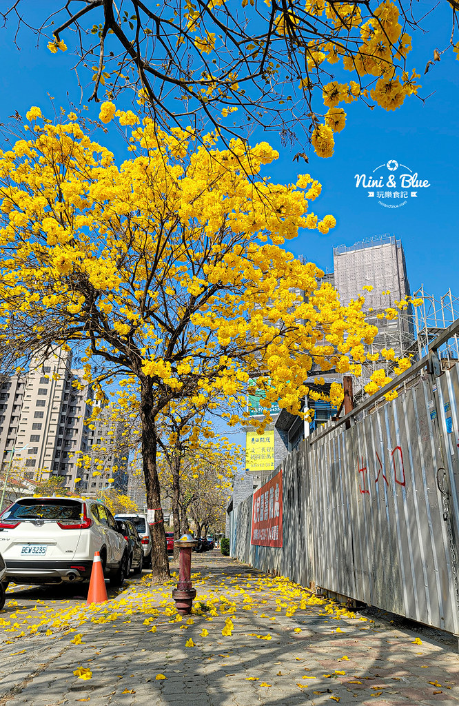 部興公園 台中太順路黃金風鈴木09