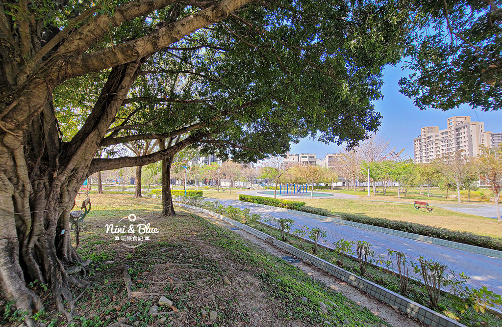 廍子公園 部子公園 台中黃金風鈴木 15