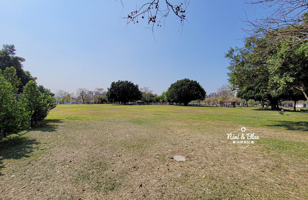 廍子公園 部子公園 台中黃金風鈴木 14