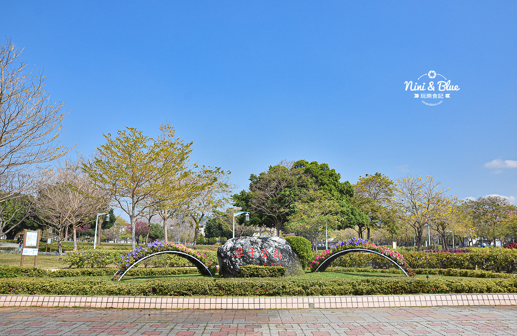 部子公園 台中黃金風鈴木23