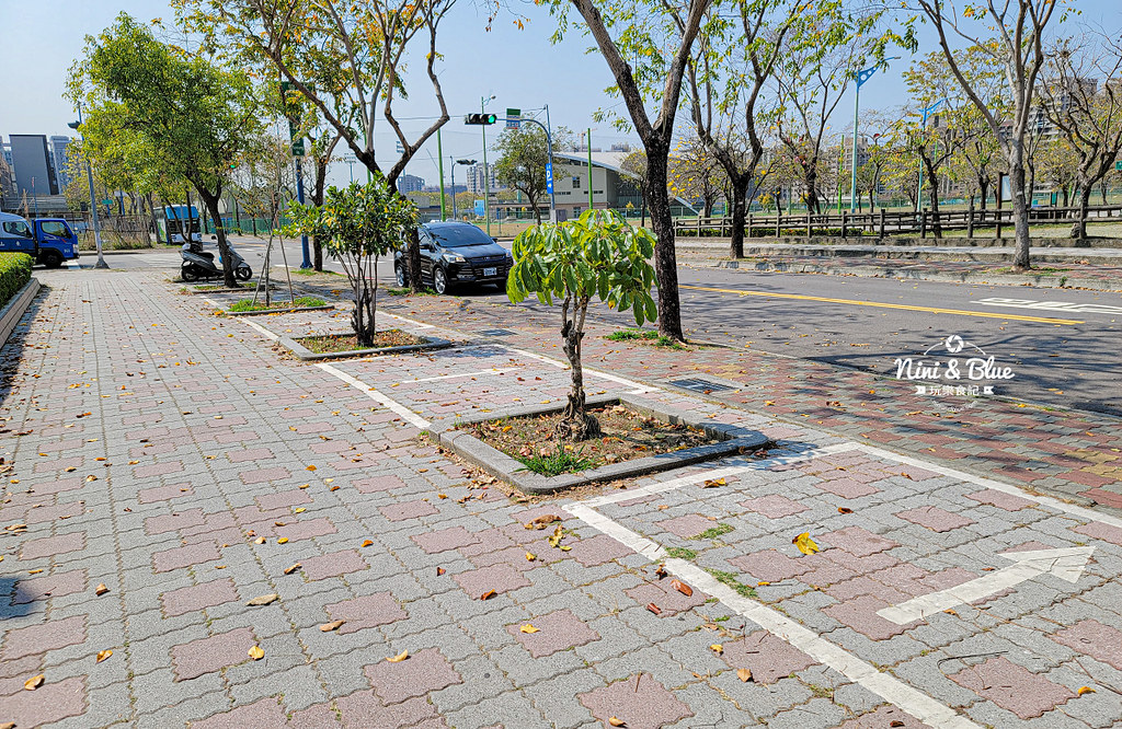 部子公園 台中黃金風鈴木19
