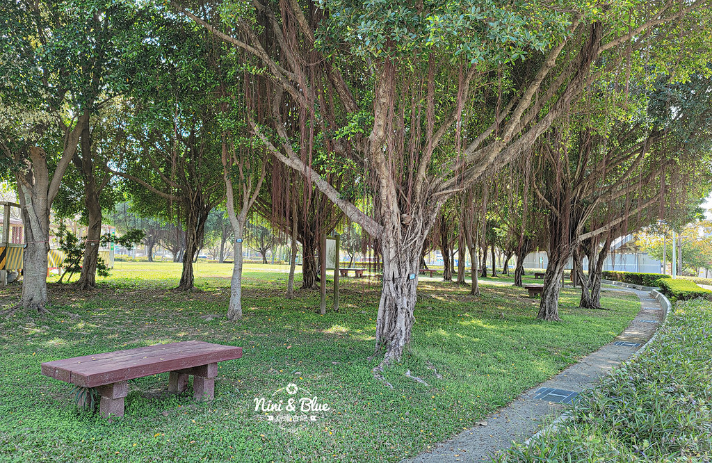 廍子公園 部子公園 台中黃金風鈴木 17