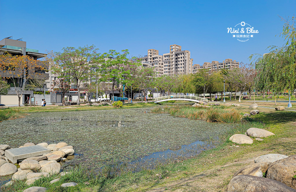 廍子公園 部子公園 台中黃金風鈴木 16