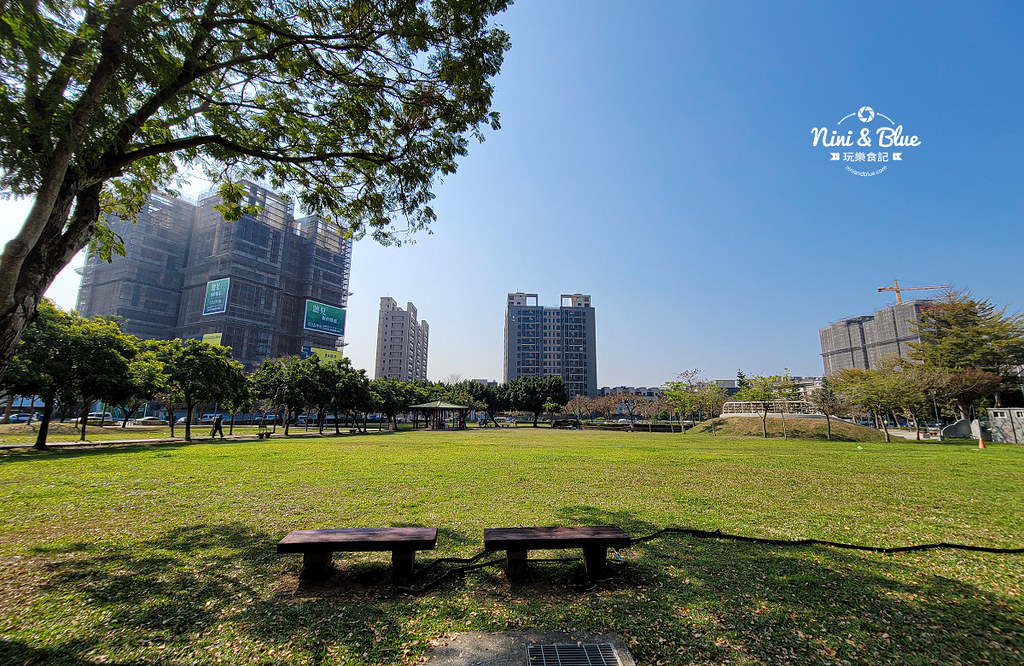 部興公園 台中太順路黃金風鈴木10