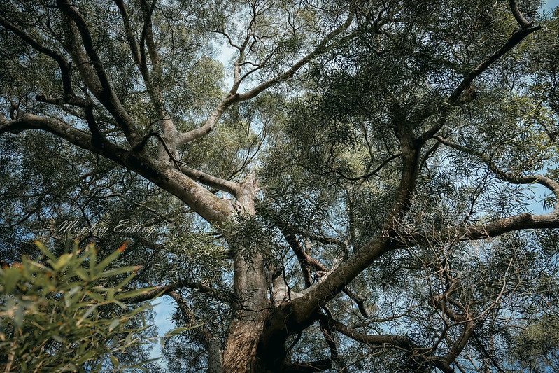 DSCF0604