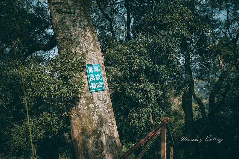 DSCF0603