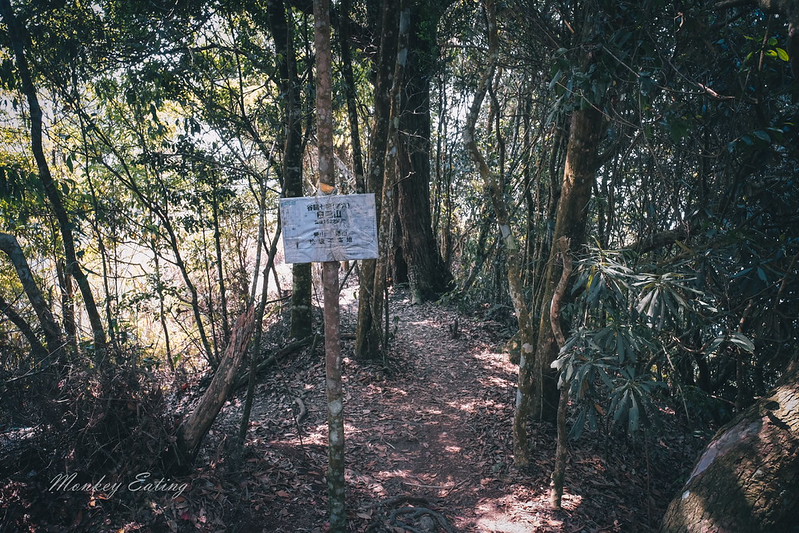 【白毛山步道】台中谷關七雄排行第6,遠眺整座東卯山好美,IG打卡白鹿吊橋超好拍 @Nini and Blue 玩樂食記 DSCF1332