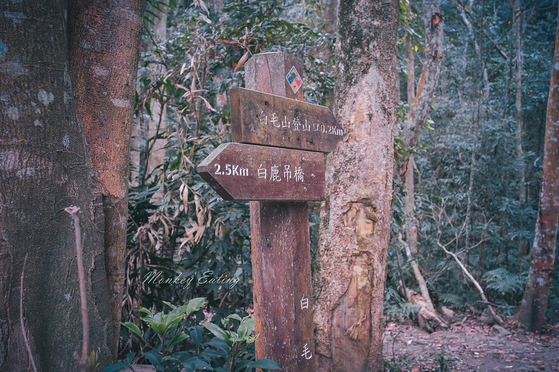 【白毛山步道】台中谷關七雄排行第6,遠眺整座東卯山好美,IG打卡白鹿吊橋超好拍 @Nini and Blue 玩樂食記 DSCF1201