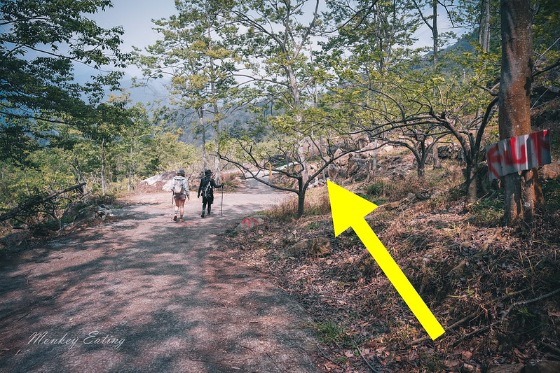 【白毛山步道】台中谷關七雄排行第6,遠眺整座東卯山好美,IG打卡白鹿吊橋超好拍 @Nini and Blue 玩樂食記 DSCF1381