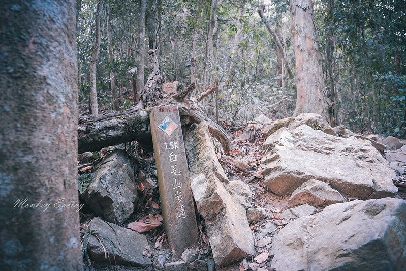 【白毛山步道】台中谷關七雄排行第6,遠眺整座東卯山好美,IG打卡白鹿吊橋超好拍 @Nini and Blue 玩樂食記 DSCF1294