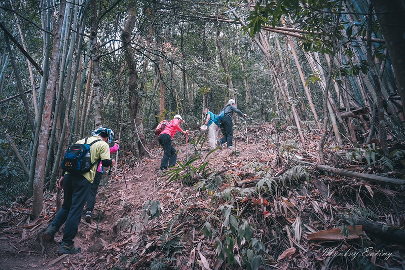 【白毛山步道】台中谷關七雄排行第6,遠眺整座東卯山好美,IG打卡白鹿吊橋超好拍 @Nini and Blue 玩樂食記 DSCF1222