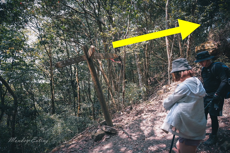 【白毛山步道】台中谷關七雄排行第6,遠眺整座東卯山好美,IG打卡白鹿吊橋超好拍 @Nini and Blue 玩樂食記 DSCF1340
