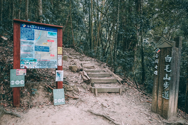 【白毛山步道】台中谷關七雄排行第6,遠眺整座東卯山好美,IG打卡白鹿吊橋超好拍 @Nini and Blue 玩樂食記 DSCF1203