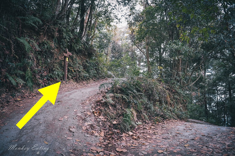 【白毛山步道】台中谷關七雄排行第6,遠眺整座東卯山好美,IG打卡白鹿吊橋超好拍 @Nini and Blue 玩樂食記 DSCF1199